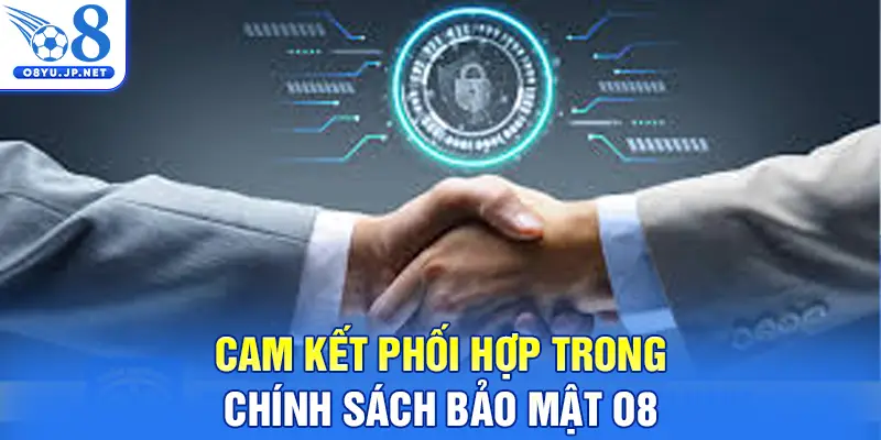 Cam kết phối hợp trong chính sách bảo mật O8