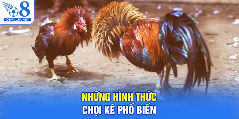 Những hình thức chọi kê phổ biến