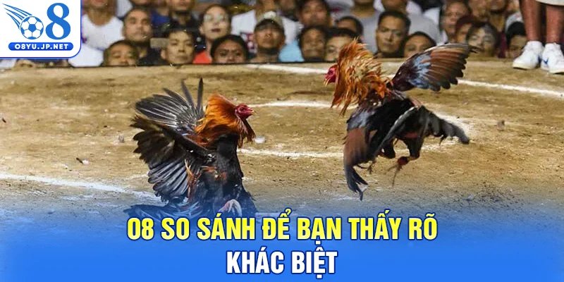 O8 so sánh để bạn thấy rõ khác biệt